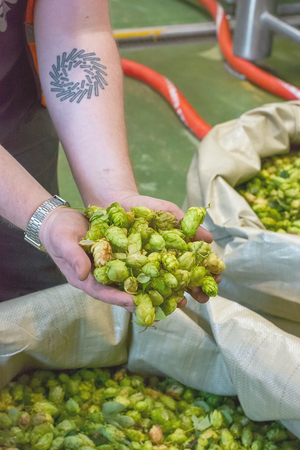 The Five Points Green Hop 2025!