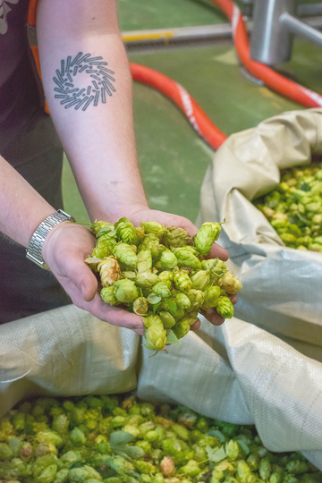 The Five Points Green Hop 2025!