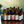 Five Points JUPA Bundle