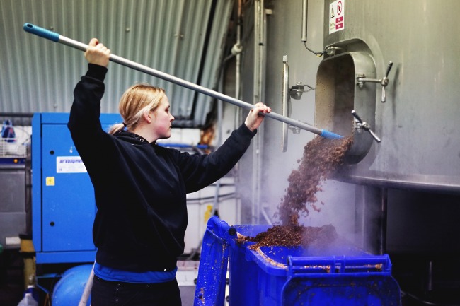 A brewer emptying spent grain from the mash tun at Five Points brewery