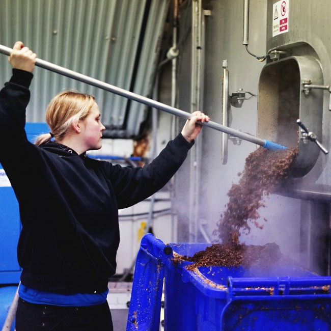 A brewer emptying spent grain from the mash tun at Five Points brewery