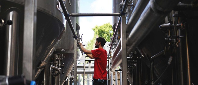 A brewery checking on beer in tank at The Five Points Brewing Company in East London